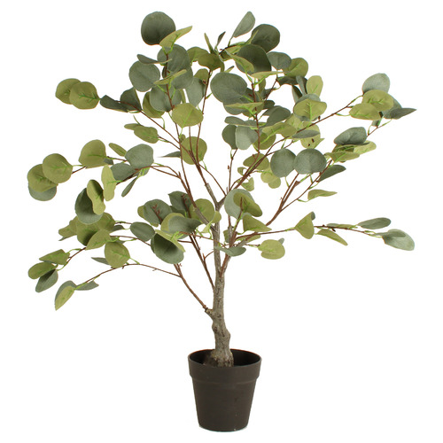 85cm Potted Faux Eucalyptus Tree | Temple & Webster