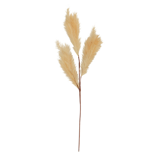 100cm Cream Faux Pampas Spray