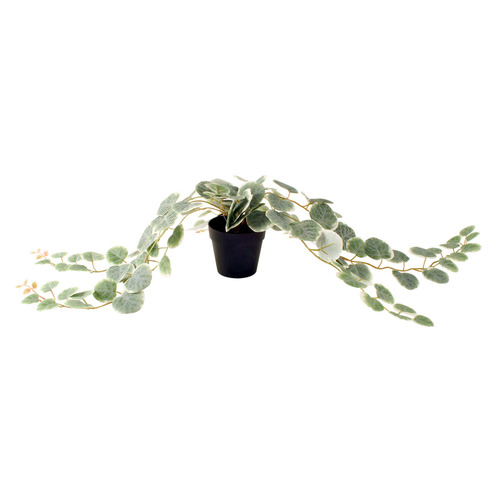 63cm Potted Faux Peperomia Plant