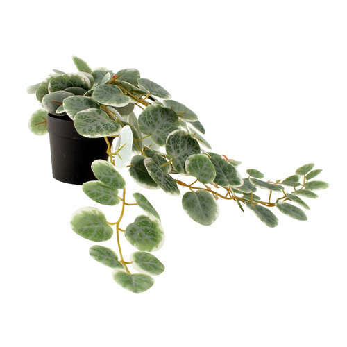 63cm Potted Faux Peperomia Plant