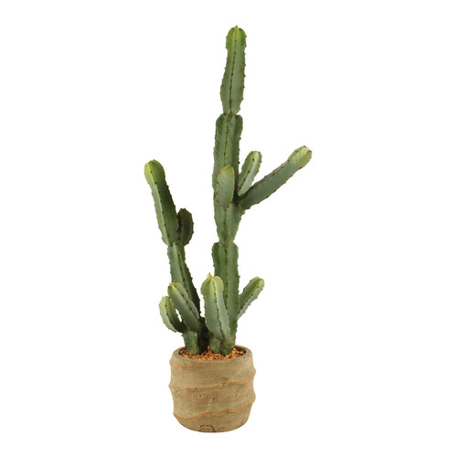 72cm Potted Faux Cereus Cactus Plant