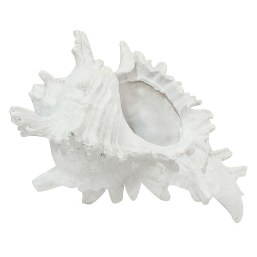 White Hao Conch Shell Ornament