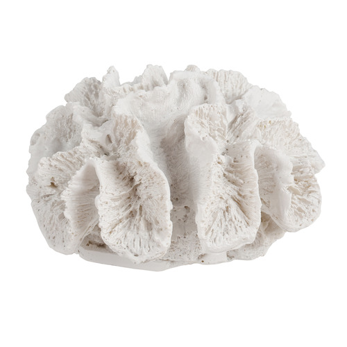 White 7 Seas Coral Decorative Ornament