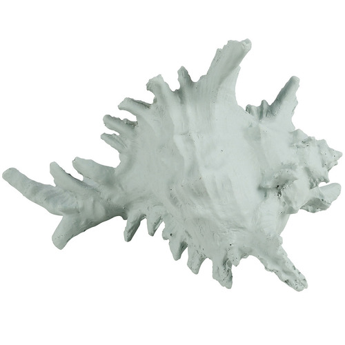 Turquoise 7 Seas Shell Resin Decorative Ornament