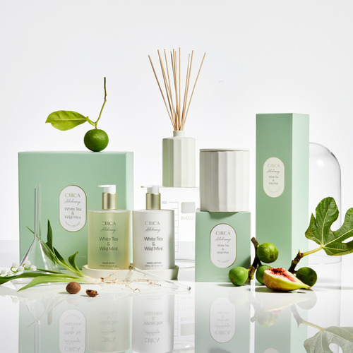 450ml Kitchen Alchemy White Tea & Wild Mint Hand Care Set