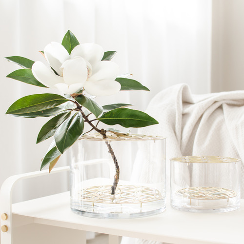 Bloom Glass Vase with Insert Temple & ster