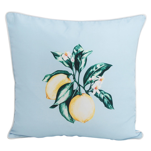 Findlay Citrus Outdoor Cushion