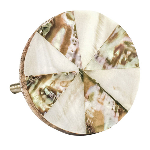 Pinwheel Shell Knob