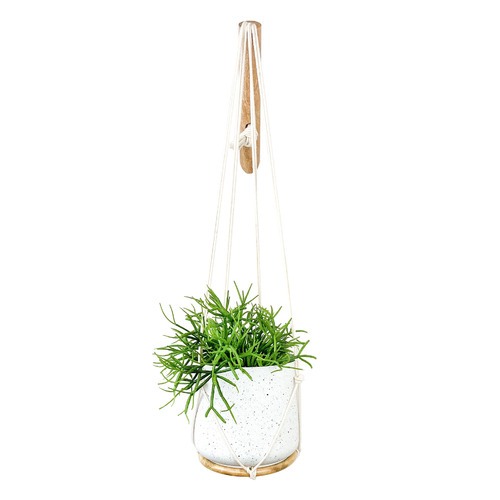 Minoh Macrame Plant Hanger