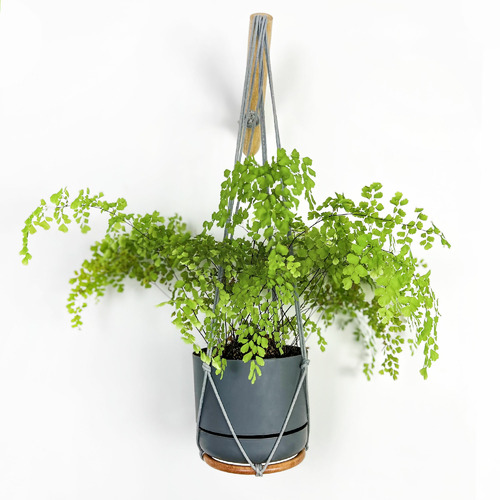 Minoh Macrame Plant Hanger