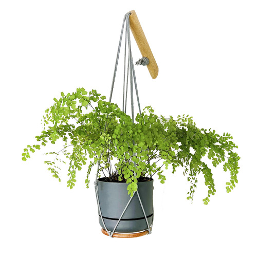 Minoh Macrame Plant Hanger