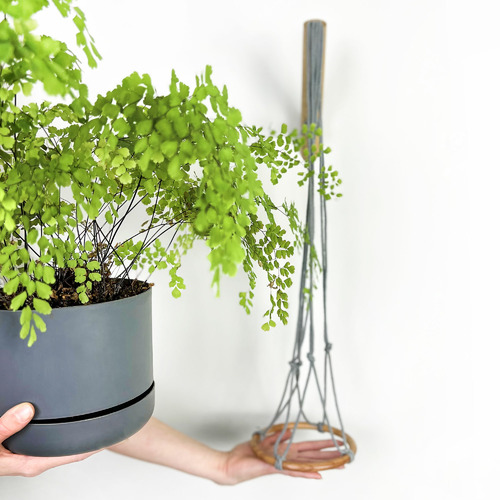 Minoh Macrame Plant Hanger
