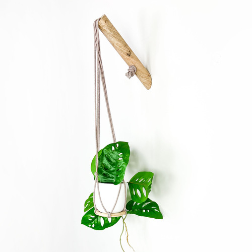 Minoh-Macrame-Plant-Hanger