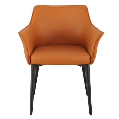 Miles Faux Leather Dining Chairs Temple & ster