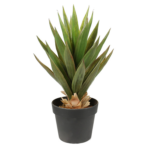 DesignerPlants 50cm Potted Faux Aloe Vera Plant Temple & ster