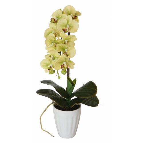 40cm Cream Potted Faux Butterfly Orchid Plant