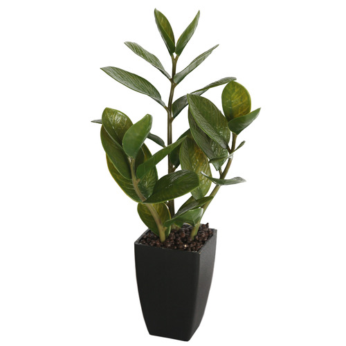 46cm Potted Faux Zanzibar Plant