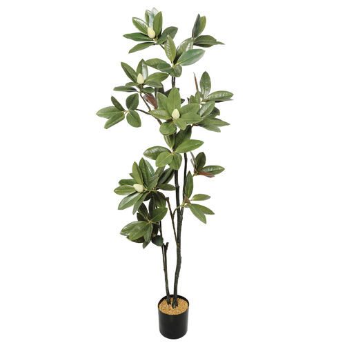 DesignerPlants 180cm Potted Faux Magnolia Plant Temple & ster