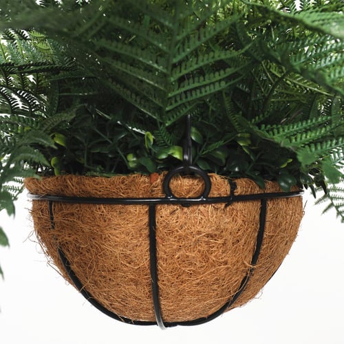 55cm Potted Spring Fern Hanging Basket