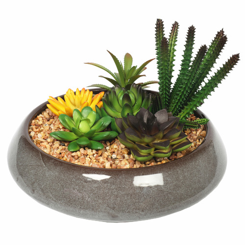 25cm Potted Faux Mixed Succulents