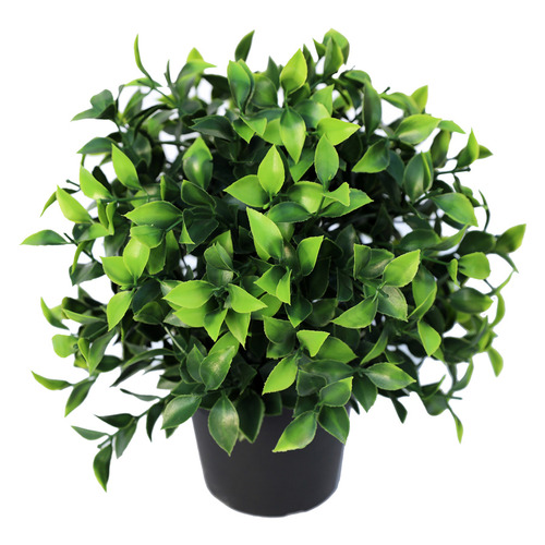 BotanicArtisan 20cm Potted Faux Jasmine Plant | Temple & Webster