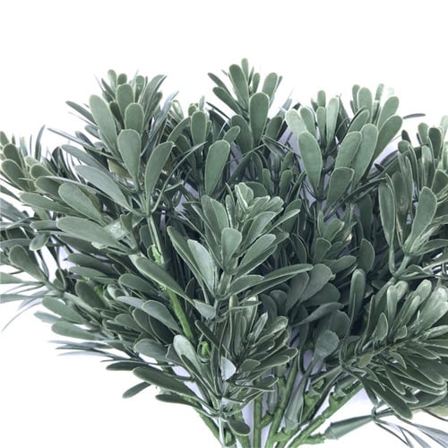 Cypress Bush Plant Stem 25cm