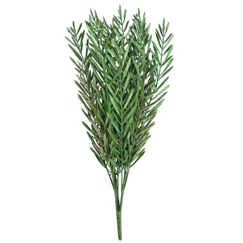 Native Tea Tree Stem 45cm