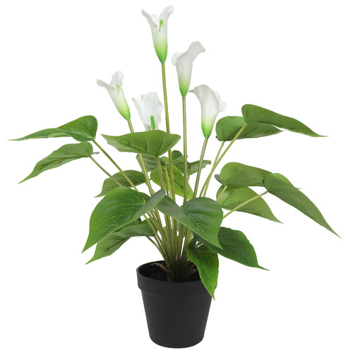 Artificial Flowering White Peace Lily Calla Lily Plant 50cm