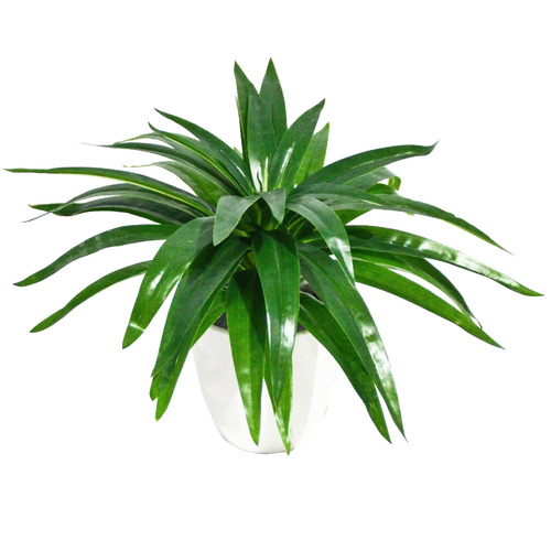 Faux Aloe Vera Stem