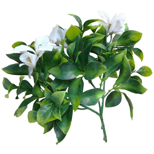 30cm Faux White Flowering Jasmine Stems