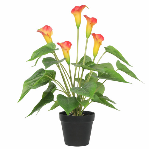 Artificial Flowering White & Orange Peace Lily Calla Lily Plant 50cm