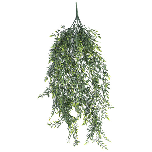 BotanicArtisan 90cm Faux Hanging Ruscus Leaf Plant | Temple & Webster