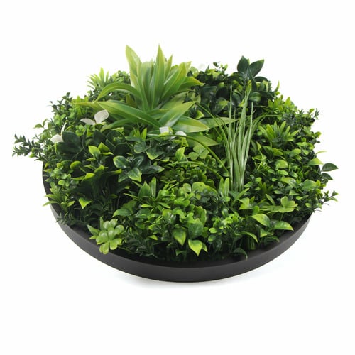 50cm Faux Flowering White Green Wall Disc