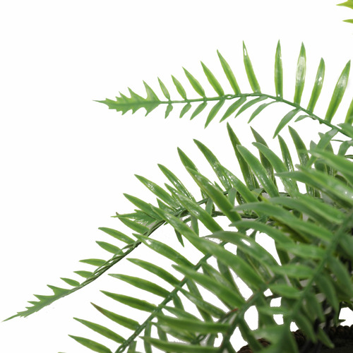 60cm Faux Fern with Hanging Basket