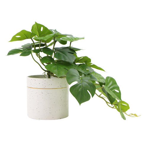 30cm Potted Faux Monstera Plant Temple & ster