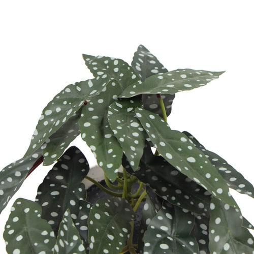 30cm Potted Faux Begonia Plant