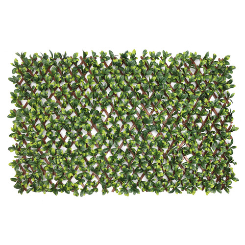 100cm Hedge Extendable Trellis