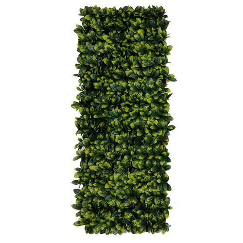 100cm Hedge Extendable Trellis