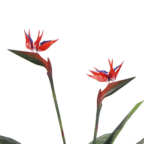 110cm Baret Potted Faux Bird of Paradise