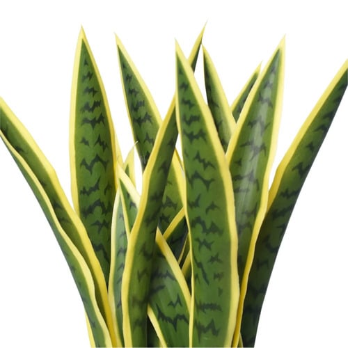 60cm Bentham Potted Faux Yellow Tongue Sansevieria