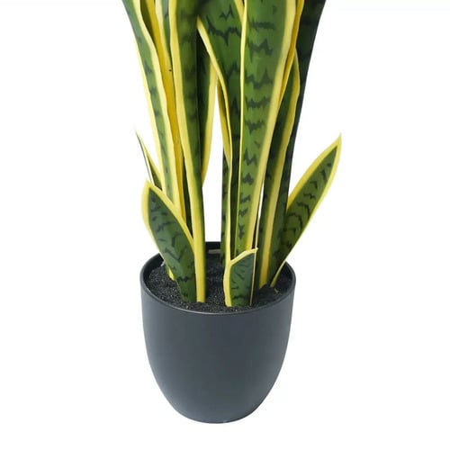 60cm Bentham Potted Faux Yellow Tongue Sansevieria