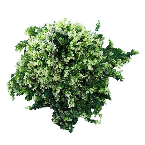 43cm Esau Faux Hanging Spring Evergreen