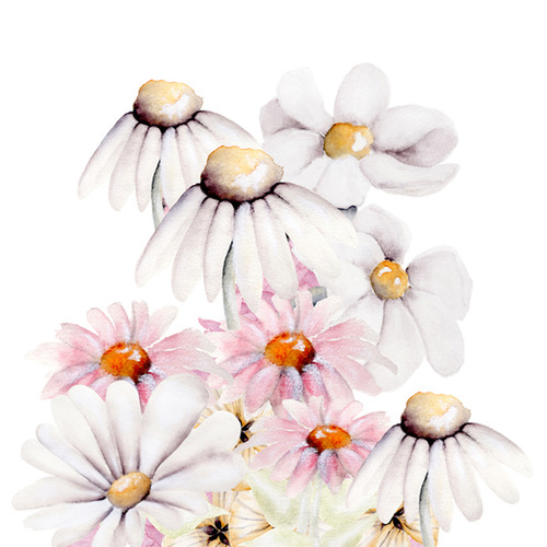 Flower Garden Wall Decal Set Temple Webster