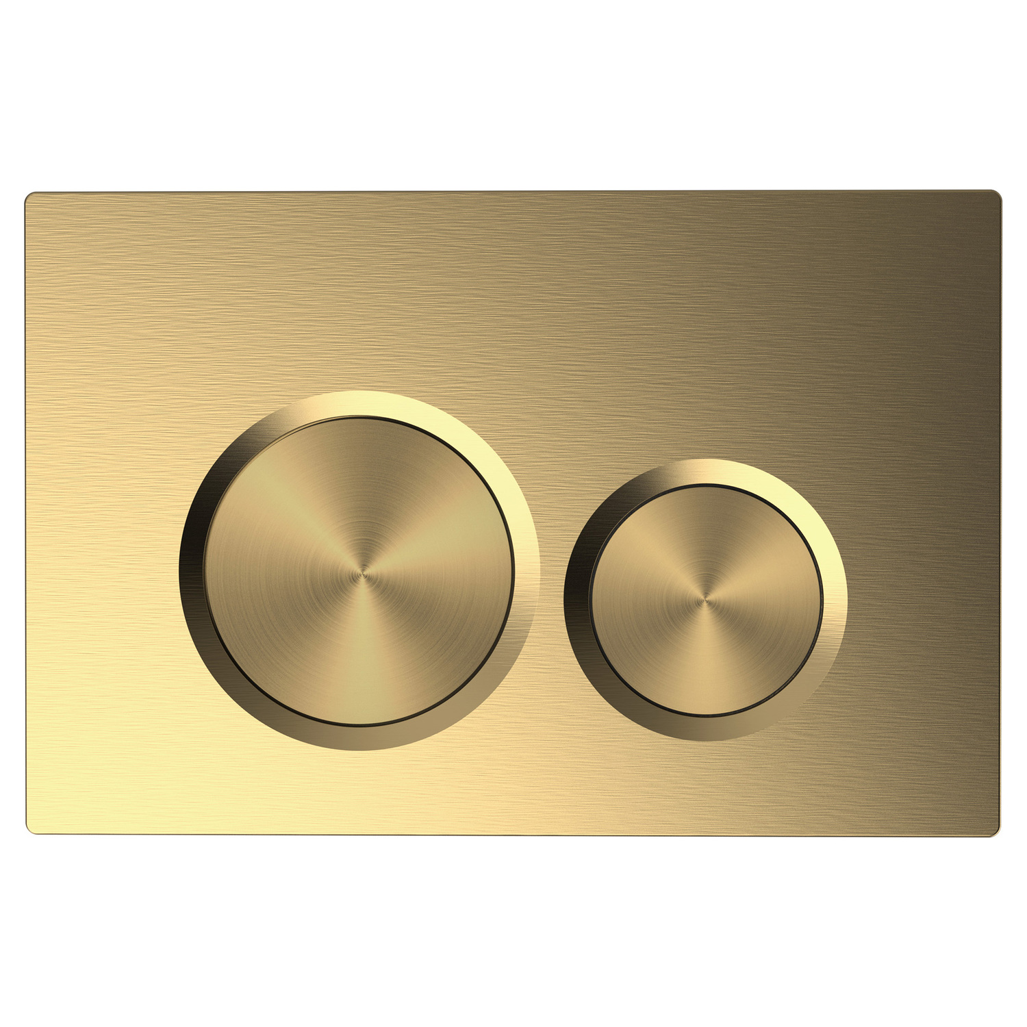 Charisma Dual Flush Plate