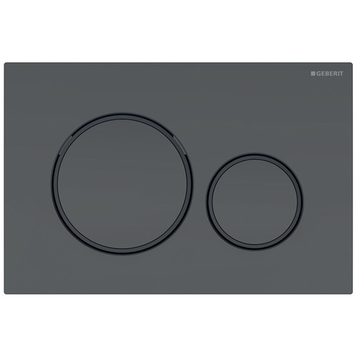 Sigma20 Flush Button