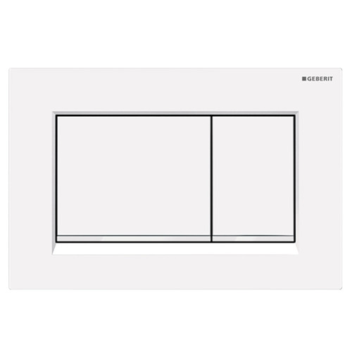 Sigma30-Matte-Dual-Flush-Button
