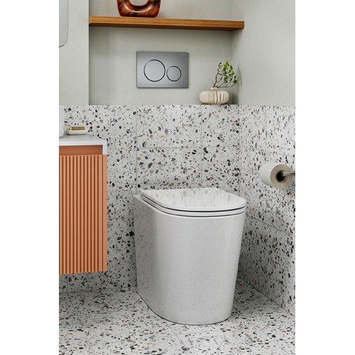 Sigma20-Dual-Flush-Button
