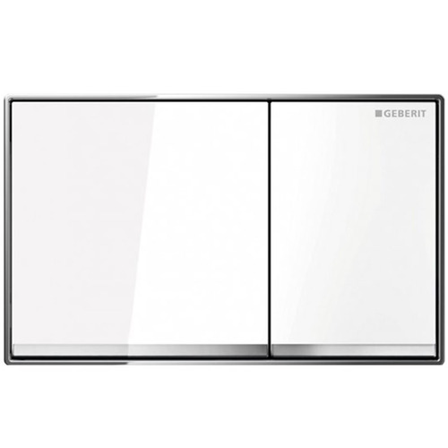 Sigma60 Dual Flush Button