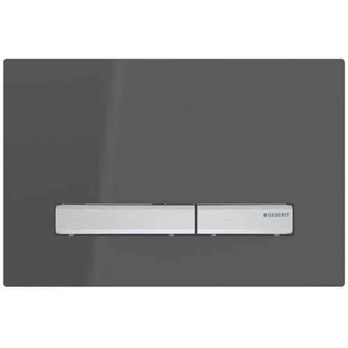 Sigma50 Mechanical Dual Flush Button