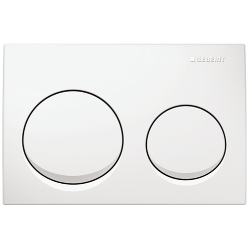 Alpha25 Dual Flush Button